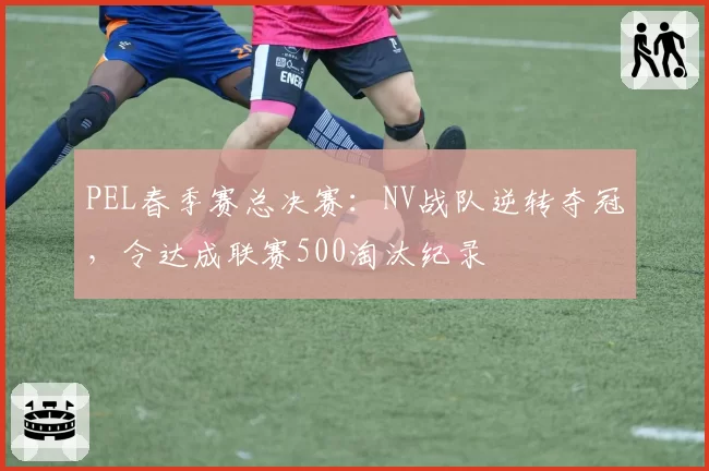 PEL春季赛总决赛:NV战队逆转夺冠,令达成联赛500淘汰纪录