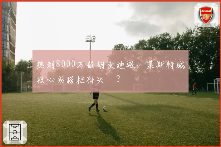 热刺8000万截胡麦迪逊，莱斯特城核心或搭档孙兴慜？