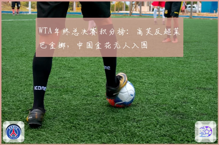 WTA年终总决赛积分榜：高芙反超莱巴金娜，中国金花无人入围