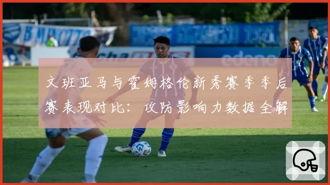 文班亚马与霍姆格伦新秀赛季季后赛表现对比：攻防影响力数据全解析