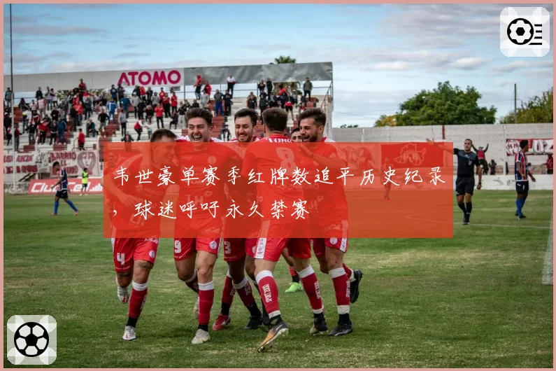 韦世豪单赛季红牌数追平历史纪录，球迷呼吁永久禁赛