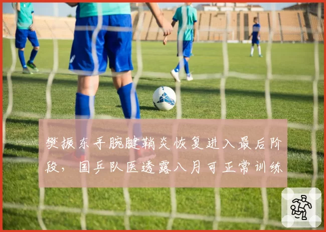 樊振东手腕腱鞘炎恢复进入最后阶段,国乒队医透露八月可正常训练