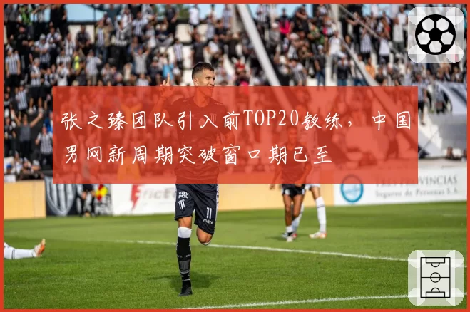 张之臻团队引入前TOP20教练，中国男网新周期突破窗口期已至