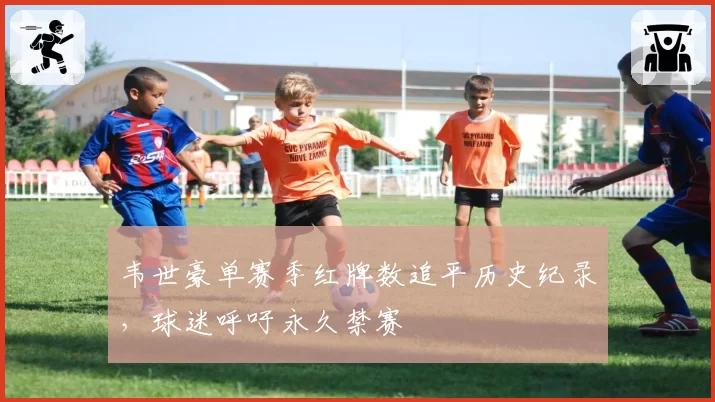 韦世豪单赛季红牌数追平历史纪录,球迷呼吁永久禁赛