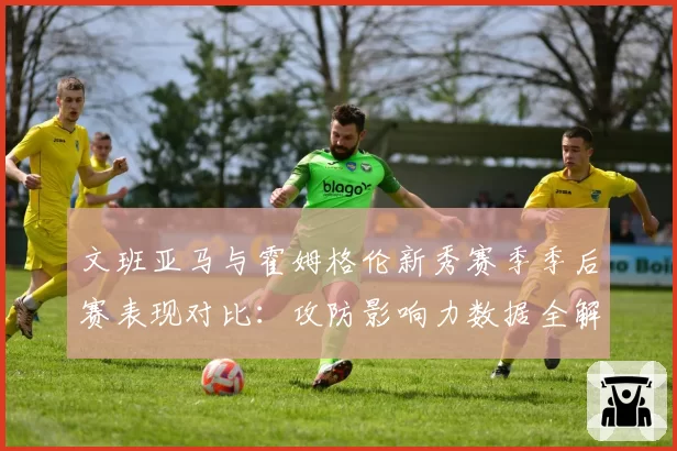 文班亚马与霍姆格伦新秀赛季季后赛表现对比：攻防影响力数据全解析