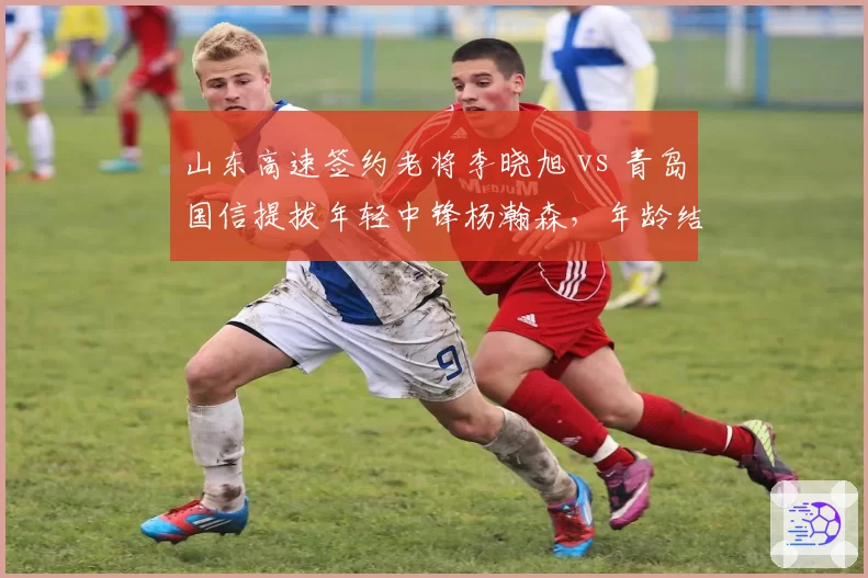 山东高速签约老将李晓旭 vs 青岛国信提拔年轻中锋杨瀚森，年龄结构策略分化