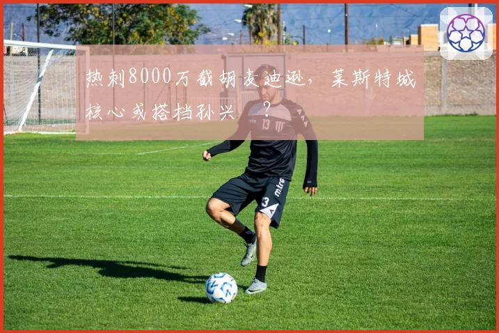 热刺8000万截胡麦迪逊，莱斯特城核心或搭档孙兴慜？