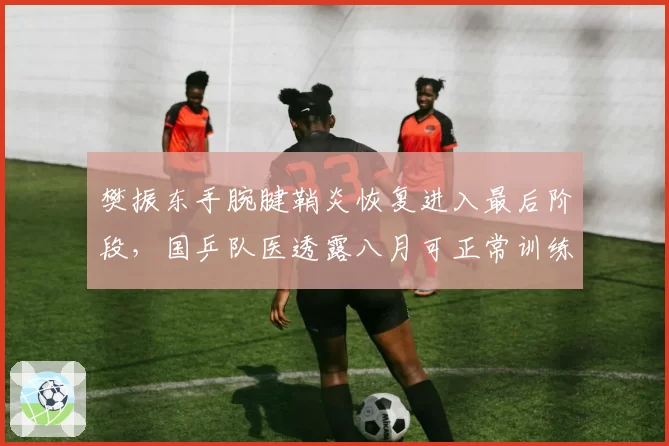 樊振东手腕腱鞘炎恢复进入最后阶段,国乒队医透露八月可正常训练